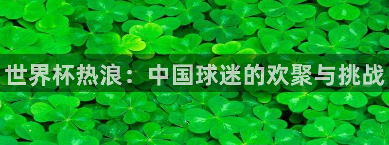 世界杯足球直播：世界杯热浪：中国球迷的欢聚与挑战