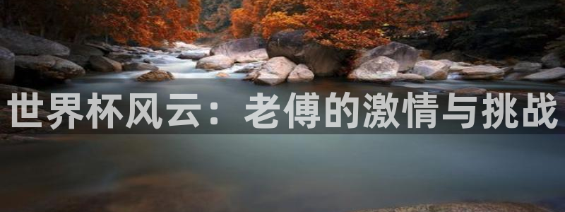 世界杯欧洲区预选赛赛程：世界杯风云：老傅的激情与挑战