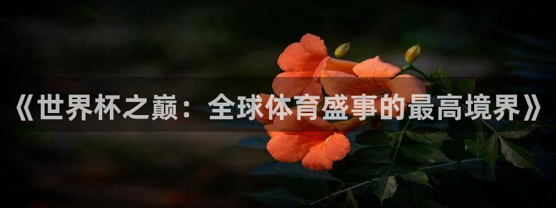 足球世界杯预选赛：《世界杯之巅：全球体育盛事的最高境界》