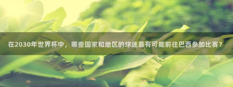 2026足球世界杯赛程时间表：在2030年世界杯中，哪些国家和地区的球迷最有可能前往巴西参加比赛？