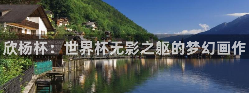 世界杯欧洲区世预赛赛程：欣杨杯：世界杯无影之躯的梦幻画作