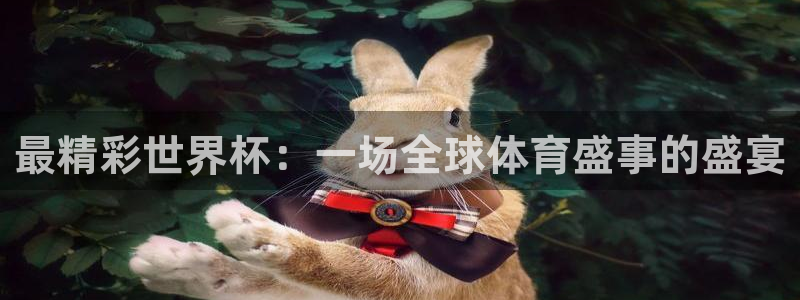 2026世界杯官网入口：最精彩世界杯：一场全球体育盛事的盛宴