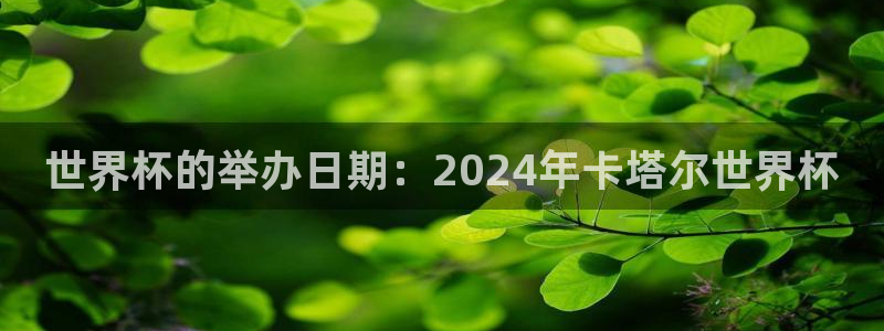 2026世界杯亚洲区预选赛赛程：世界杯的举办日期：2024年卡塔尔世界杯