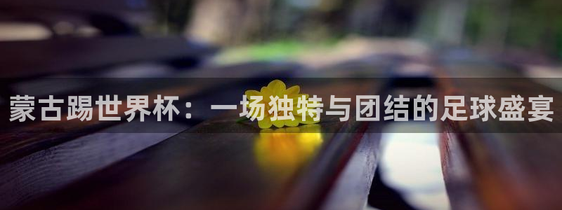 世界杯预选赛2026：蒙古踢世界杯：一场独特与团结的足球盛宴