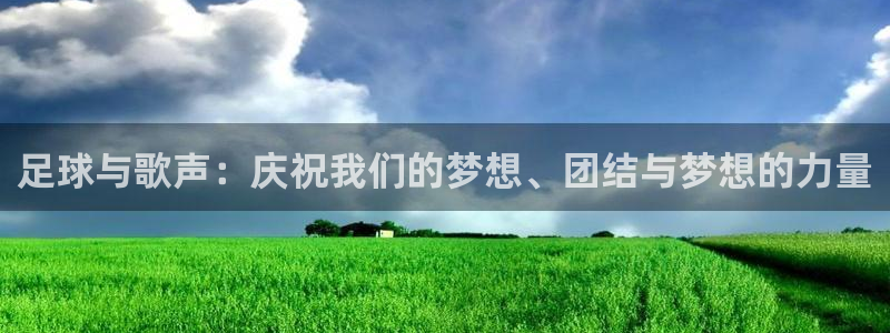 世界杯比赛：足球与歌声：庆祝我们的梦想、团结与梦想的力量