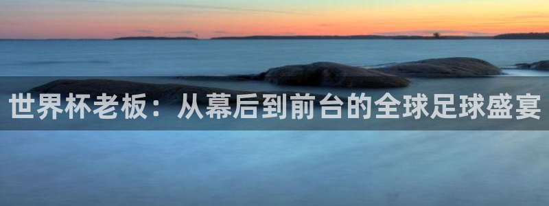 英足总杯直播：世界杯老板：从幕后到前台的全球足球盛宴