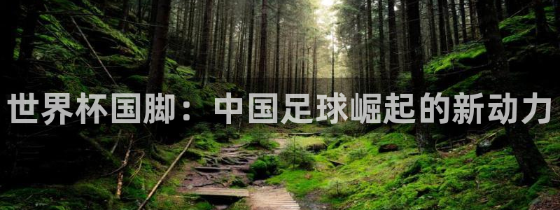 国际足联世界杯：世界杯国脚：中国足球崛起的新动力