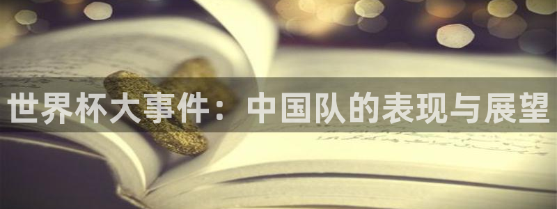 世界杯预选赛规则：世界杯大事件：中国队的表现与展望