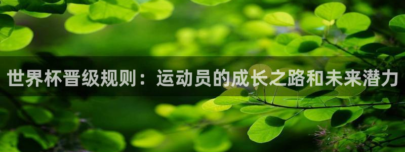 足球世预赛：世界杯晋级规则：运动员的成长之路和未来潜力