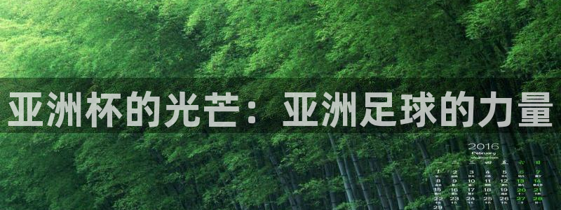 今年世界杯：亚洲杯的光芒：亚洲足球的力量