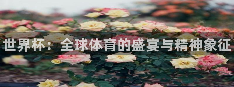 世界杯 中国：世界杯：全球体育的盛宴与精神象征
